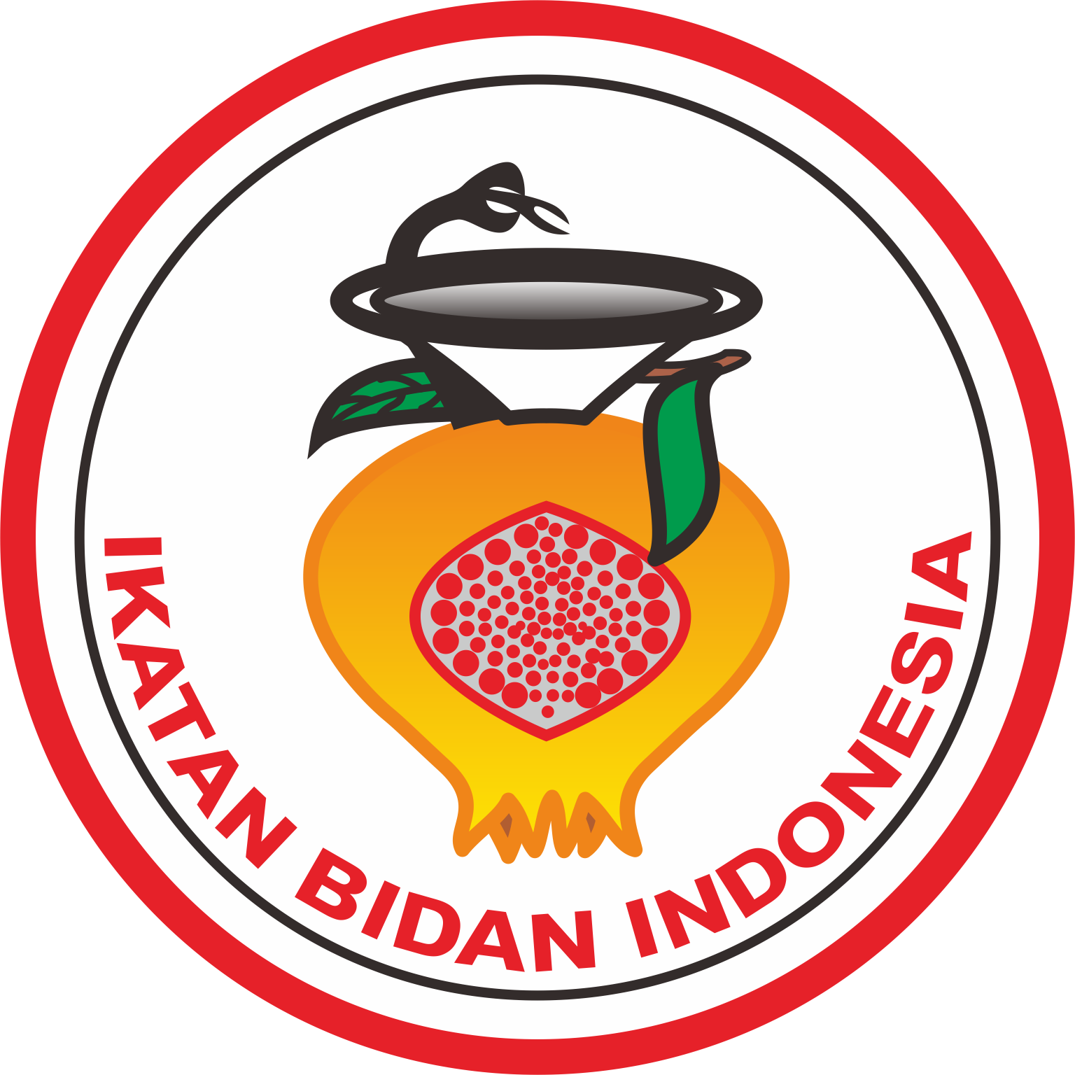 Ikatan Bidan Indonesia